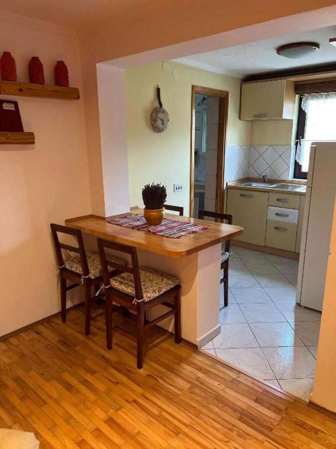 Apartment Monte Rosa Delnice Buitenkant foto